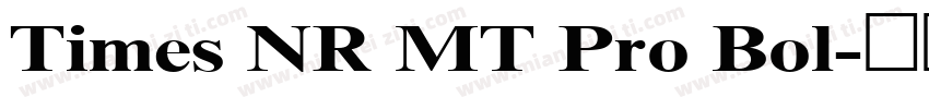 Times NR MT Pro Bol字体转换